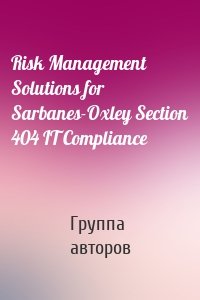 Risk Management Solutions for Sarbanes-Oxley Section 404 IT Compliance