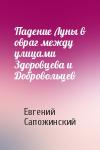Евгений Сапожинский - Падение Луны в овраг между улицами Здоровцева и Добровольцев