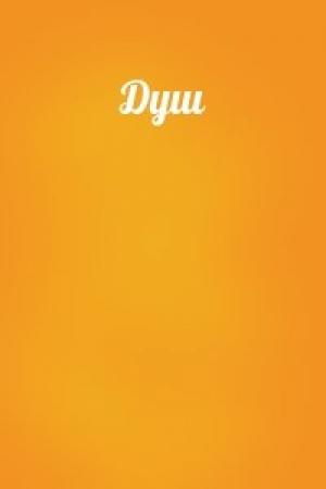 Обложка книги «Душ»