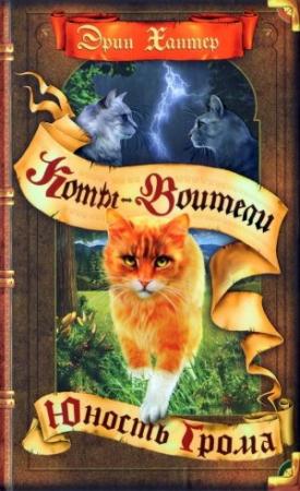Обложка книги «Юность Грома» — Эрин Хантер