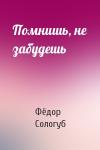 Фёдор Сологуб - Помнишь, не забудешь