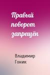 Владимир Гоник - Правый поворот запрещён