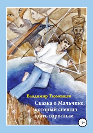 Обложка книги «Сказка о Мальчике, который спешил стать взрослым» — Владимир Тюменцев