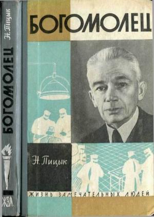 Обложка книги «Богомолец» — Нина Пицык