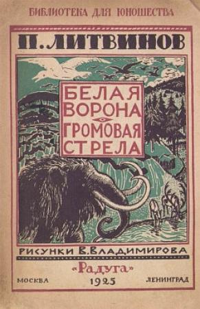 Обложка книги «Громовая стрела» — Павел Литвинов