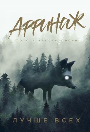 Обложка книги «Аффинаж. Фото и тексты песен. Лучше всех» — Михаил Калинин