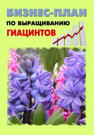 Обложка книги «Бизнес-план по выращиванию гиацинтов» — Павел Шешко, А. Бруйло
