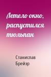 Станислав Брейэр - Летело окно, распустился тюльпан