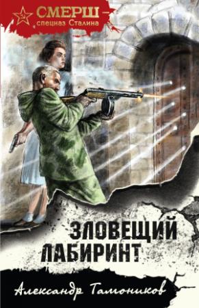 Обложка книги «Зловещий лабиринт» — Александр Тамоников