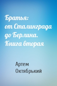 Братья: от Сталинграда до Берлина. Книга вторая