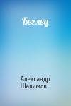 Александр Шалимов - Беглец