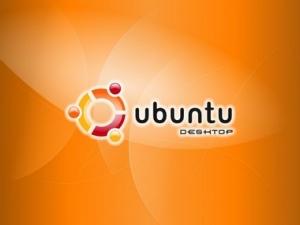 Обложка книги «Ubuntu Linux: базовый курс» — Дмитрий Котенок