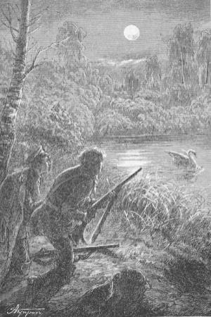 Обложка книги «Неудачная охота» — Андрей Зарин