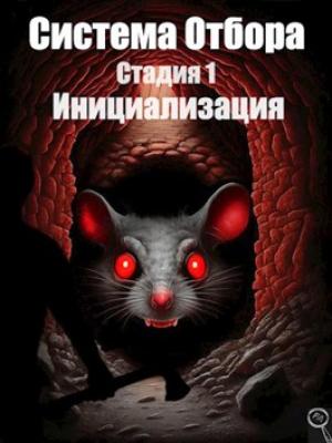 Обложка книги «Система Отбора. Стадия 1. Инициализация.» — Файнд Энсвер