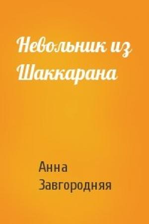 Обложка книги «Невольник из Шаккарана» — Анна Завгородняя