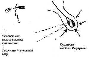 Обложка книги «GA 275. Искусство в свете мудрости мистерий» — Рудольф Штайнер