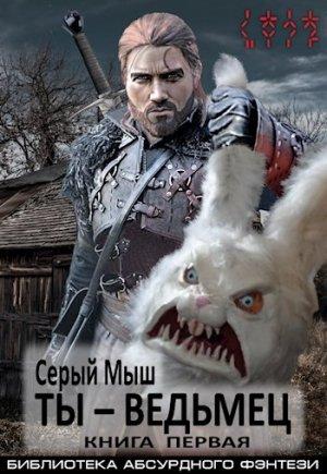 Обложка книги «Ты – ведьмец | Книга первая» — Серый Мыш