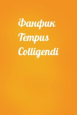 Обложка книги «Фанфик Tempus Colligendi»