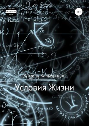Обложка книги «Условия жизни» — Камиль Халмурадов