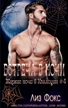 Обложка книги «Встреча в ночи» — Лиз Фокс