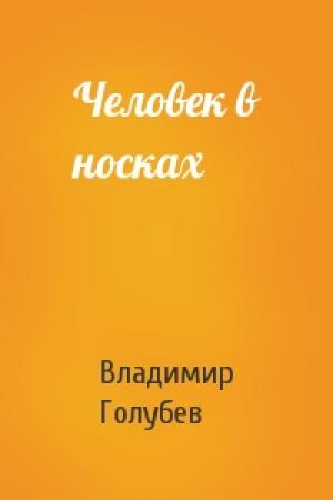 Обложка книги «Человек в носках» — Владимир Голубев