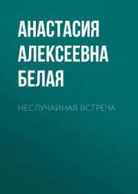 Неслучайная встреча