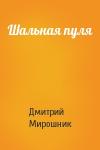 Дмитрий Мирошник - Шальная пуля