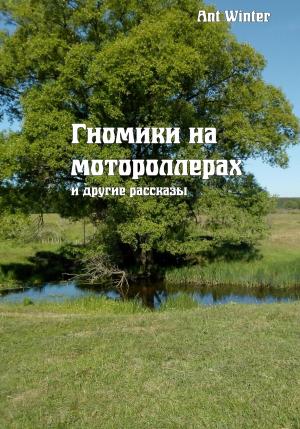 Обложка книги «Гномики на мотороллерах и другие рассказы» — Winter Ant