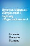 Евгений Брандис - Встречи с будущим (Предисловие к сборнику «Незримый мост»)