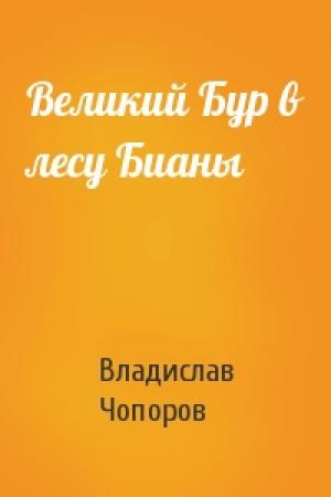 Обложка книги «Великий Бур в лесу Бианы» — Владислав Чопоров
