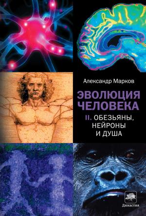 Обложка книги «Эволюция человека. Книга II. Обезьяны, нейроны и душа» — Александр Марков
