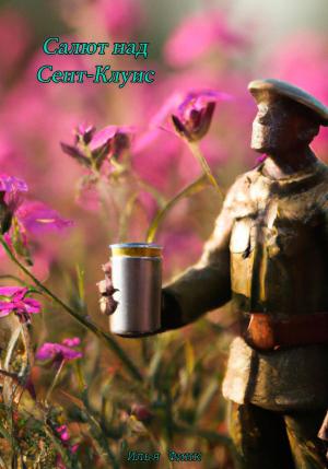 Обложка книги «Салют над Сент-Клуис» — Илья Финк