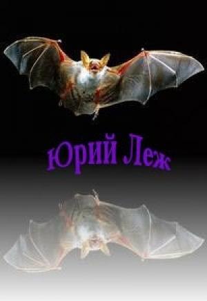 Обложка книги «Искажение[СИ, роман в двух книгах]» — Юрий Леж