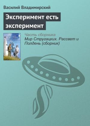 Обложка книги «Эксперимент есть эксперимент» — Василий Владимирский
