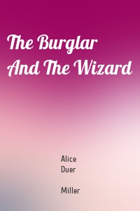 The Burglar And The Wizard