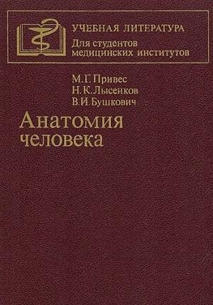 Обложка книги «Анатомия человека» — Михаил Привес, Николай Лысенков, Вячеслав Бушкович