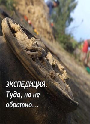 Обложка книги «Экспедиция. Туда, но не обратно» — Денис Старый