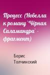 Борис Толчинский - Процесс (Новелла к роману `Чёрная Саламандра` - фрагмент)