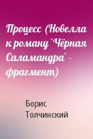 Обложка книги «Процесс (Новелла к роману `Чёрная Саламандра` - фрагмент)» — Борис Толчинский