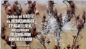 Обложка книги «Сказка об охоте на невидимых грабителей, орудующих ледяными кинжалами» — Николай Горькавый