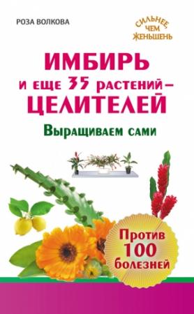 Обложка книги «Имбирь и еще 35 растений-целителей. Выращиваем сами. Против 100 болезней» — Роза Волкова