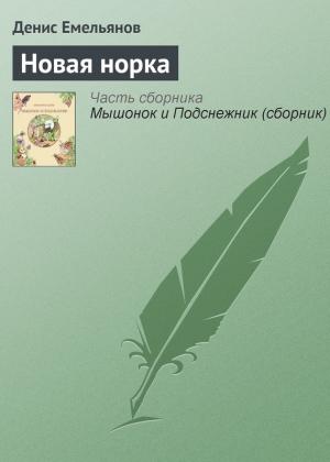 Обложка книги «Новая норка» — Денис Емельянов