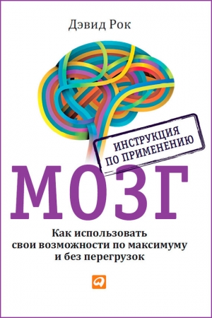 Обложка книги «Мозг. Инструкция по применению» — Дэвид Рок