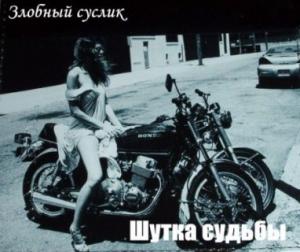 Обложка книги «Шутка судьбы (СИ)»