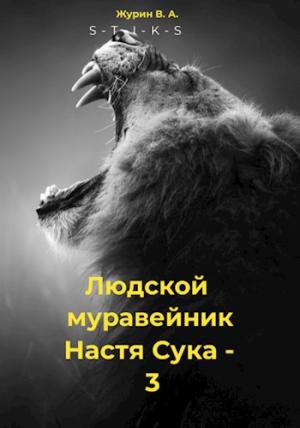 Обложка книги «Настя 3» — Владимир Журин