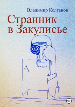 Обложка книги «Странник в Закулисье» — Владимир Колганов