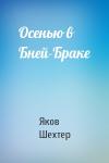 Яков Шехтер - Осенью в Бней-Браке