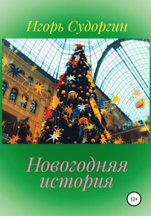 Обложка книги «Новогодняя история» — Игорь Судоргин