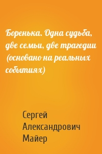 Боренька. Одна судьба, две семьи, две трагедии (основано на реальных событиях)