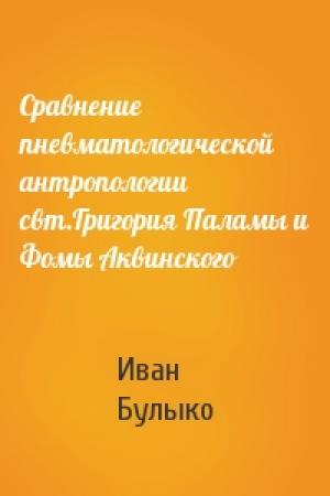 Обложка книги «Сравнение пневматологической антропологии свт.Григория Паламы и Фомы Аквинского» — Иван Булыко